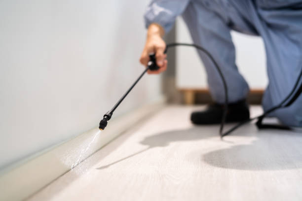 Bed Bug Pre-Treatment Preparation Assessment in East Grand Rapids