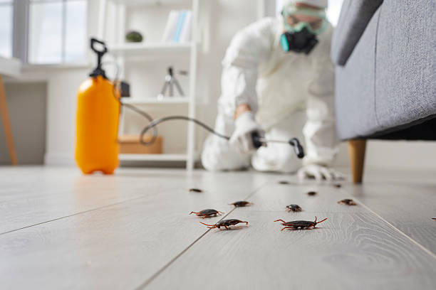 Post-Treatment Bed Bug Interceptor Monitoring in East Grand Rapids