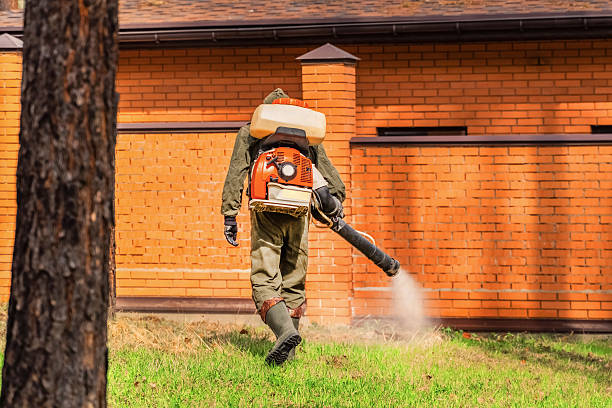 Bed Bug Clearance Verification and Documentation in East Grand Rapids